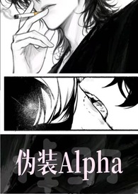 a伪装o