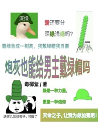 炮灰男是啥意思是什么